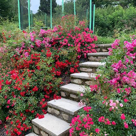 Chalupa U Kačírků Horní Planá Bagian luar foto