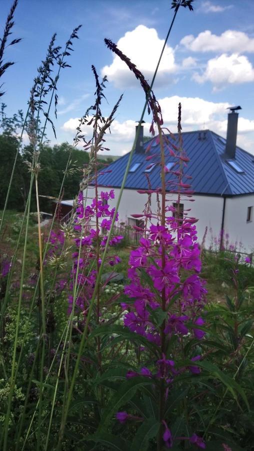 Chalupa U Kačírků Horní Planá Bagian luar foto